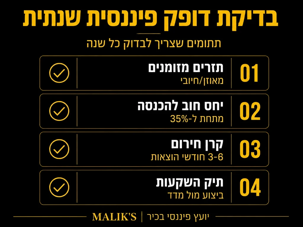 אינפוגרפיקה: בדיקת דופק פיננסית שנתית - תחומים שצריך לבדוק כל שנה | MALIK'S