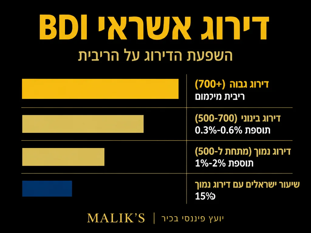 אינפוגרפיקה: דירוג אשראי BDI - השפעת הדירוג על הריבית | MALIK'S