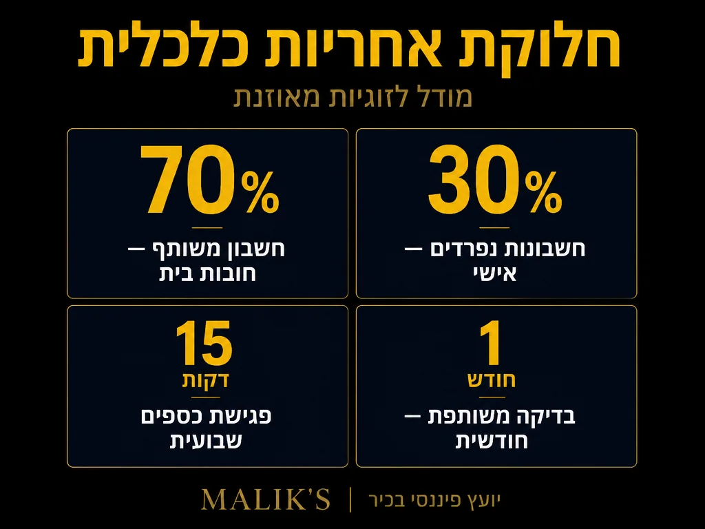 אינפוגרפיקה: חלוקת אחריות כלכלית - מודל לזוגיות מאוזנת | MALIK'S