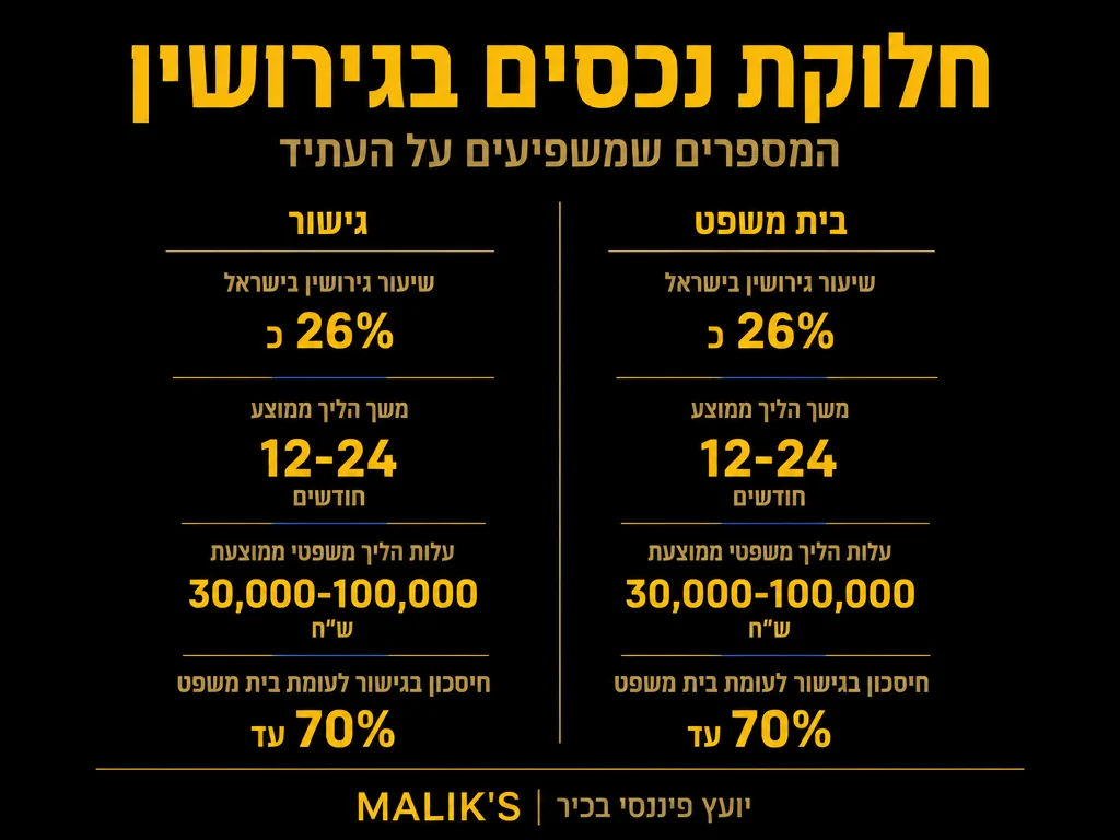 אינפוגרפיקה: חלוקת נכסים בגירושין - המספרים שמשפיעים על העתיד | MALIK'S