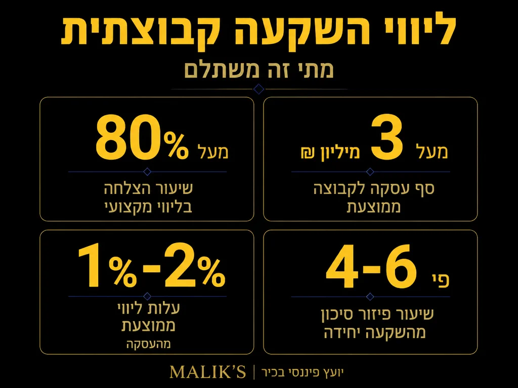 אינפוגרפיקה: ליווי השקעה קבוצתית - מתי זה משתלם | MALIK'S