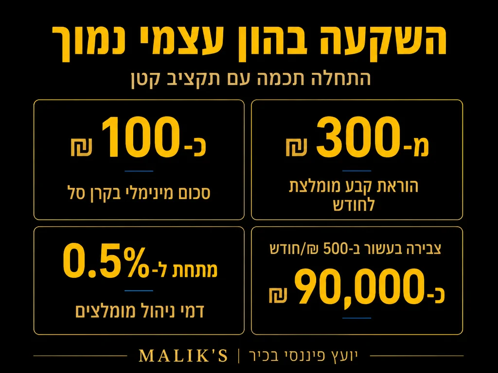 אינפוגרפיקה: השקעה בהון עצמי נמוך - התחלה חכמה עם תקציב קטן | MALIK'S