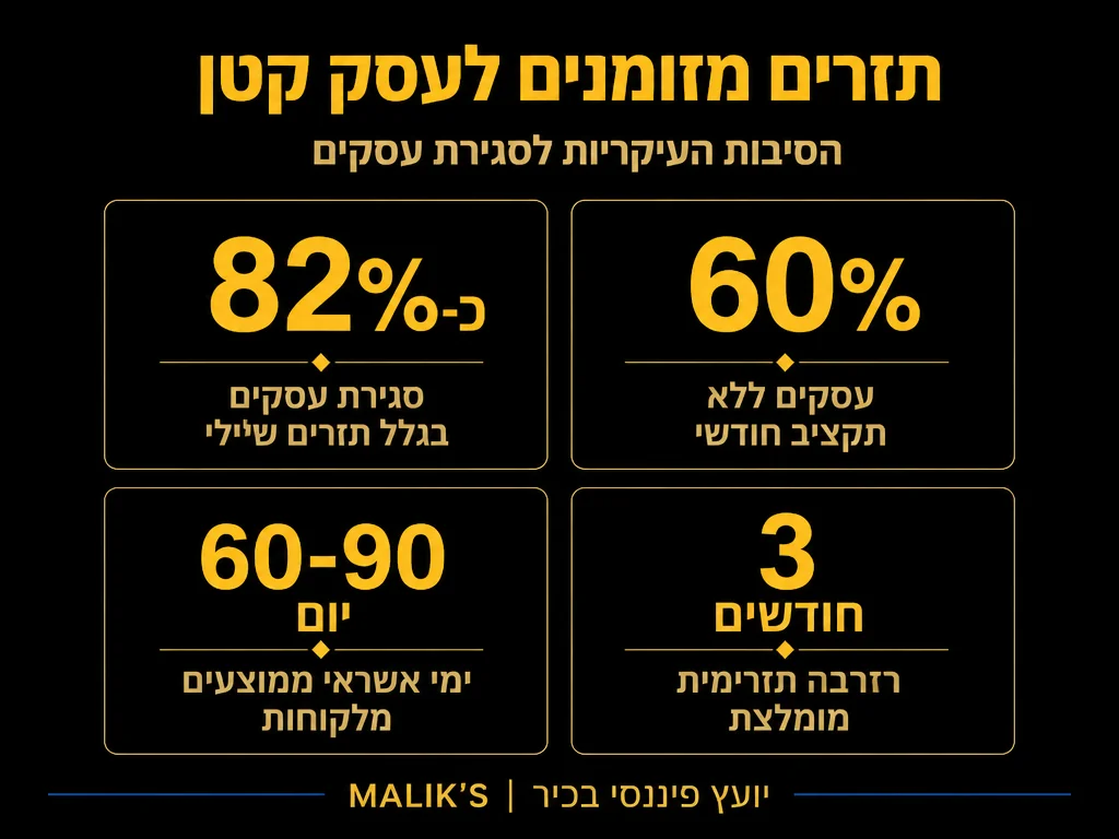 אינפוגרפיקה: תזרים מזומנים לעסק קטן - הסיבות העיקריות לסגירת עסקים | MALIK'S