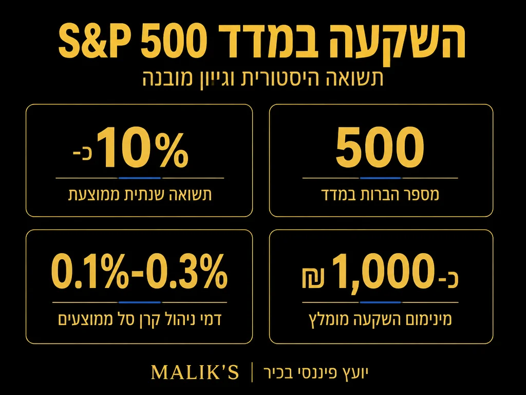 אינפוגרפיקה: השקעה במדד S&P 500 - תשואה היסטורית וגיוון מובנה | MALIK'S