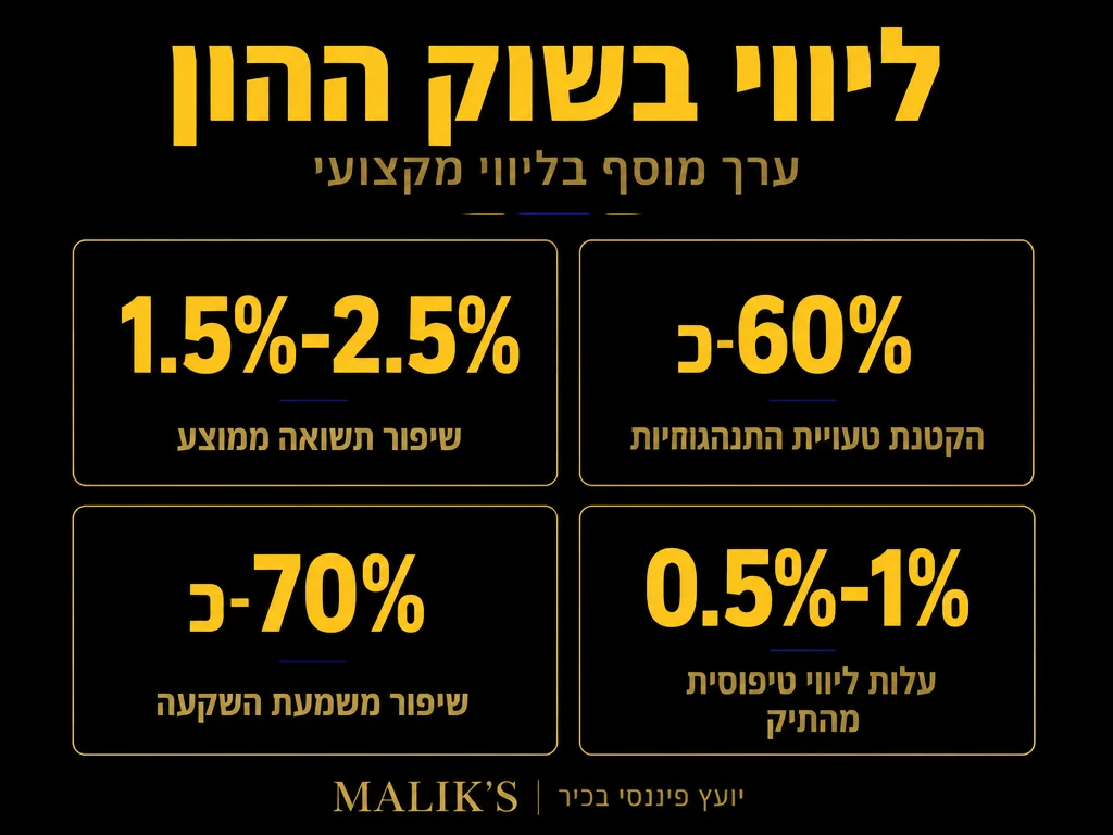 אינפוגרפיקה: ליווי בשוק ההון - ערך מוסף בליווי מקצועי | MALIK'S