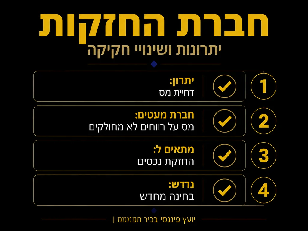 אינפוגרפיקה: חברת החזקות - יתרונות ושינויי חקיקה | MALIK'S
