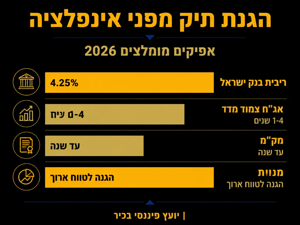 אינפוגרפיקה: הגנת תיק מפני אינפלציה - אפיקים מומלצים 2026 | MALIK'S