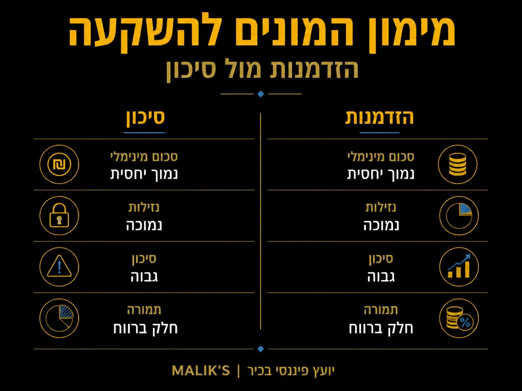 אינפוגרפיקה: מימון המונים להשקעה - הזדמנות מול סיכון | MALIK'S