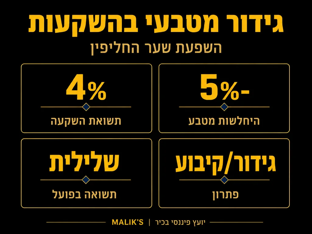 אינפוגרפיקה: גידור מטבעי בהשקעות - השפעת שער החליפין | MALIK'S