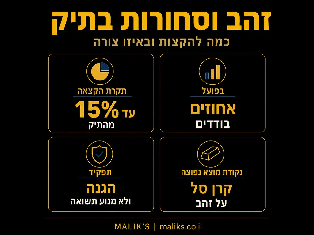 אינפוגרפיקה: זהב וסחורות בתיק - כמה להקצות ובאיזו צורה | MALIK'S